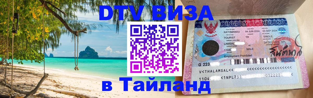 Оформление DTV визы под ключ: стоимость и тарифы, только загранпаспорт - 21.11.2025 